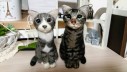 Japan nas opet iznenađuje – filcanim mačkama!