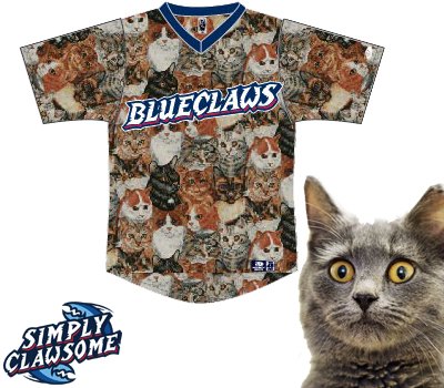 Bejzbolski tim ima majice totalno prekrivene mačkama!