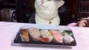 Je li netko za sushi?