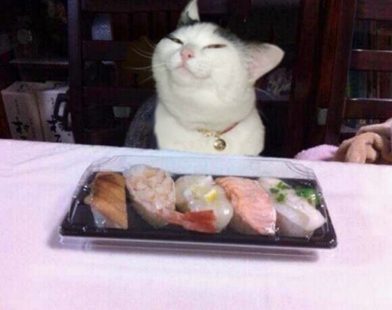 Je li netko za sushi?