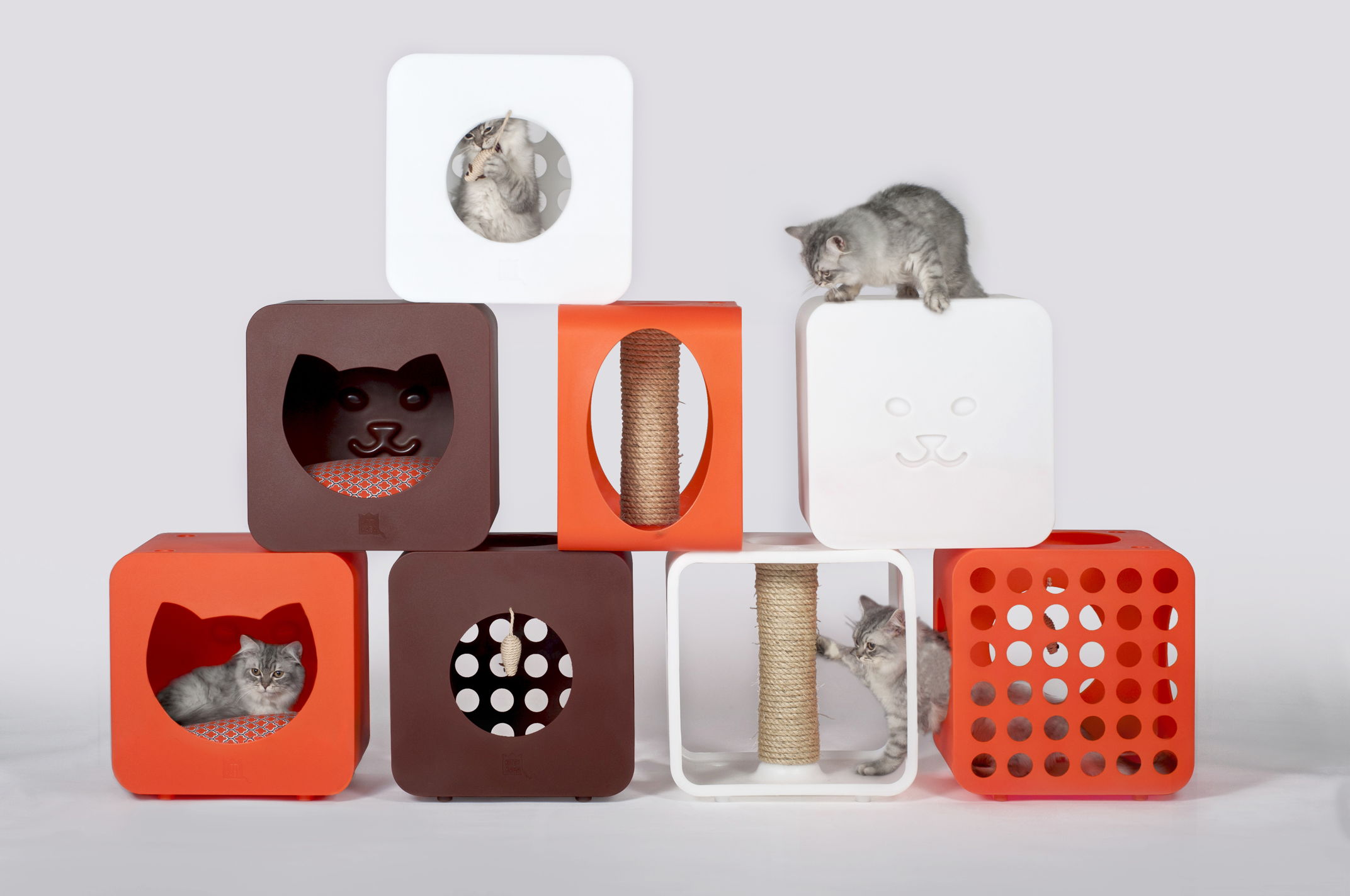 Modularna Kitty Kasa kolekcija
