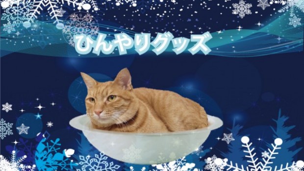 Novo – zdjelice za hlađenje mačaka