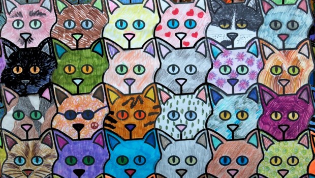 11,000 papirnatih mačaka za mačke lutalice