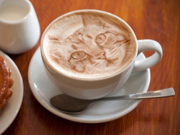 Mačka u šalici kave