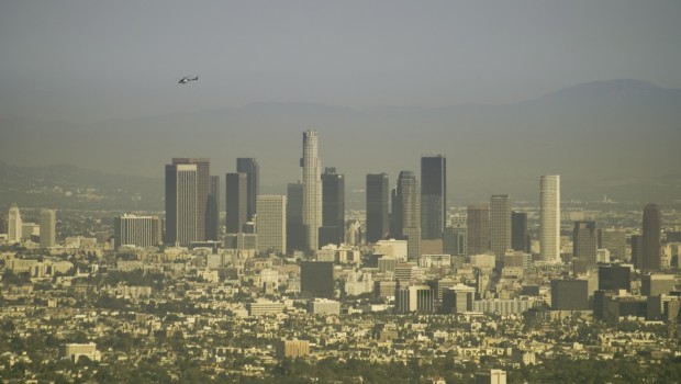Stanovnici Los Angelesa moći će držati i do 20 mačaka