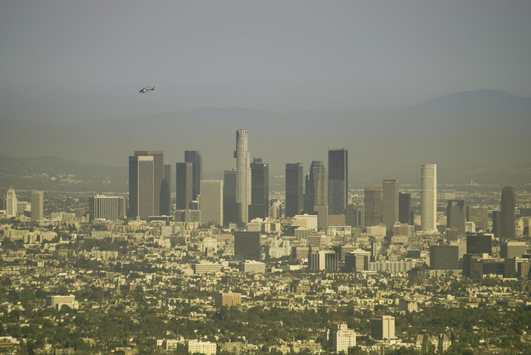 Los Angeles trajno zabranio prodaju mačaka u pet shopovima