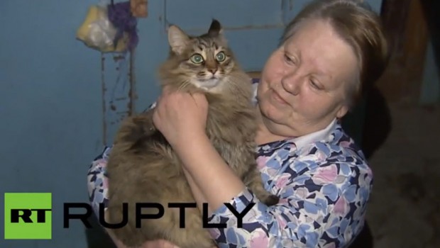 Mačka heroina spasila napuštenu bebu