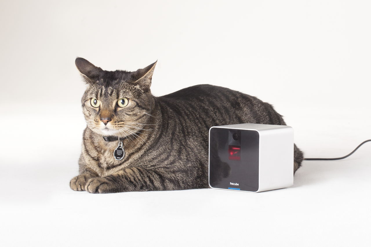 Petcube – interaktivna kamera za vašeg ljubimca