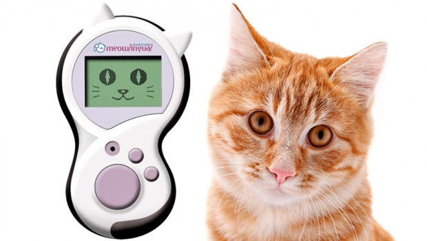 Konačno ćemo razumjeti mačke pomoću – Meowlingual uređaja