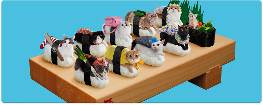 Nekozushi – apsurdna kombinacija mačaka i sushija