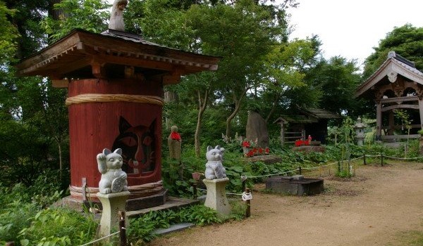 Cat Temple – kulturna znamenitost Japana