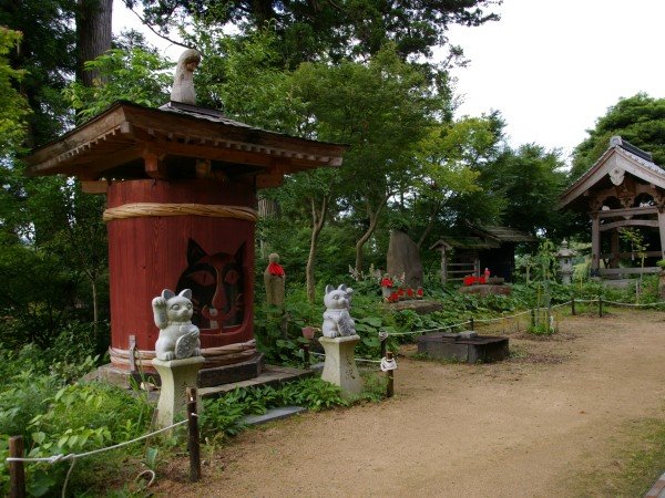 Cat Temple – kulturna znamenitost Japana