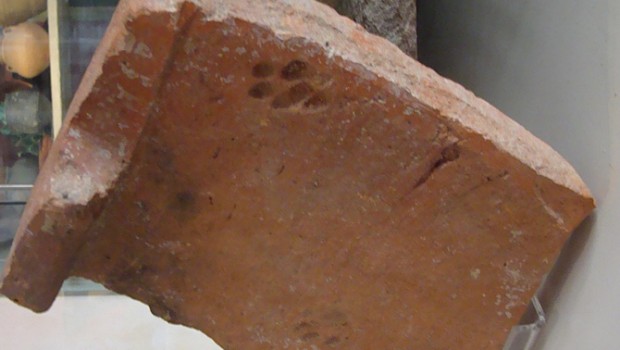 Otisak mačje šape na 2.000 godina starom crijepu!
