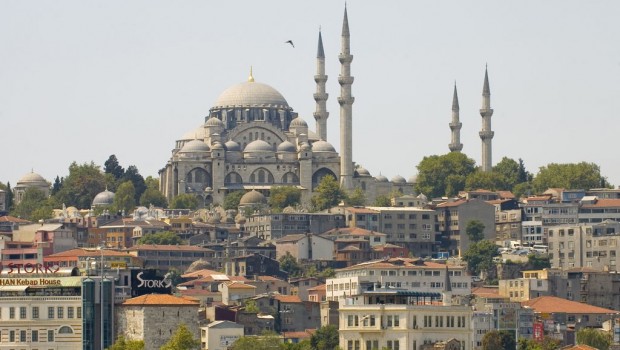 Istanbul je svjetska mačja prijestolnica!