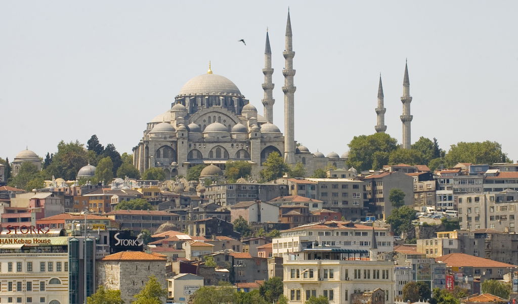 Istanbul je svjetska mačja prijestolnica!