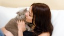 Ljubljenje mačke – koliko je sigurno i treba li to raditi?