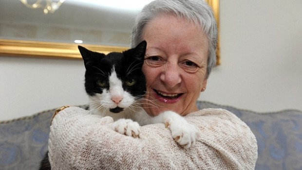 Mačak nanjušio tumor na vlasnici i spasio joj život