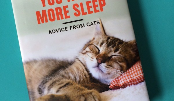 You Need More Sleep – knjiga mačjih savjeta