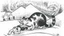 Islandska božićna priča o mački Yule