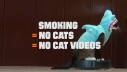 Video s mačkama poziva na prestanak pušenja