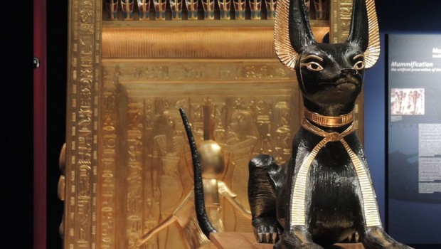 Mačke u starom Egiptu