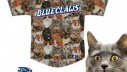 Bejzbolski tim ima majice totalno prekrivene mačkama!