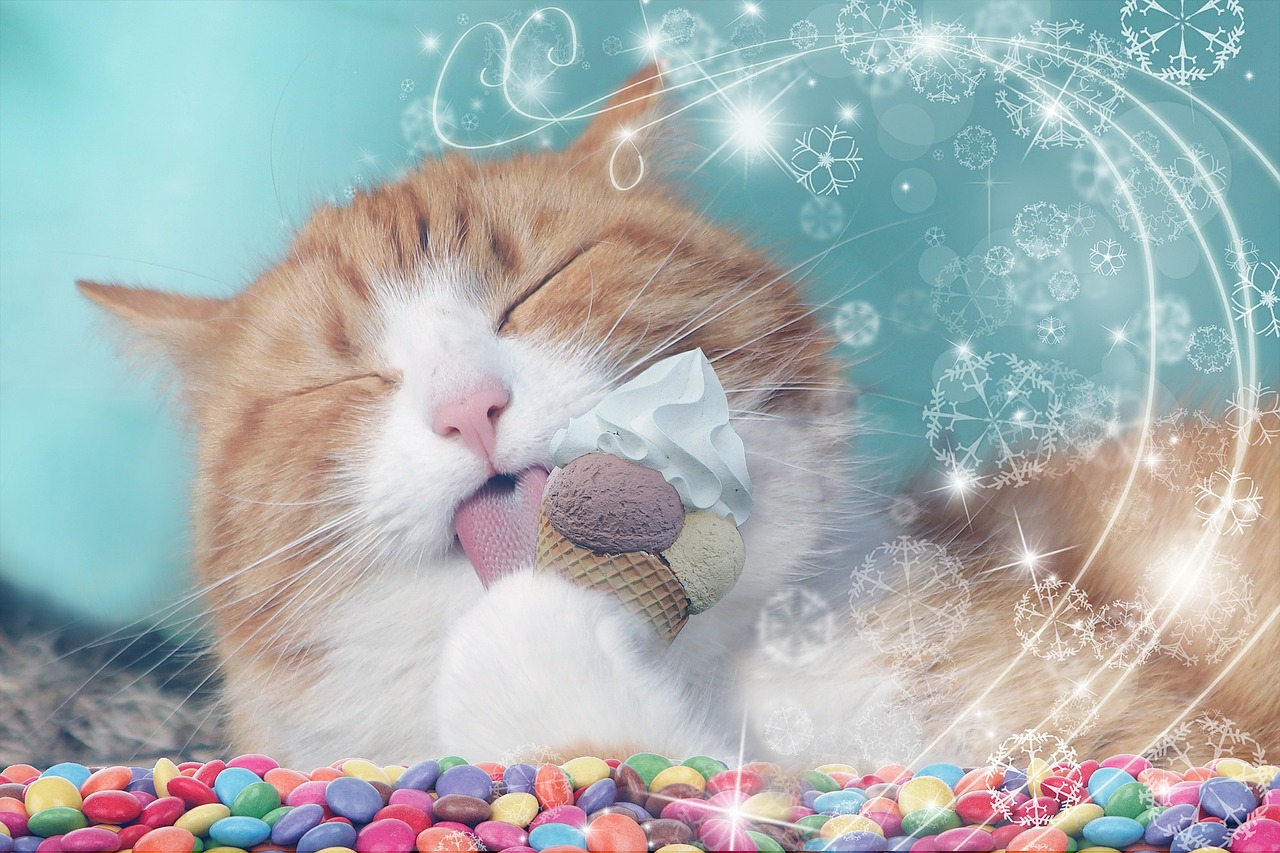 Mačka liže sladoled