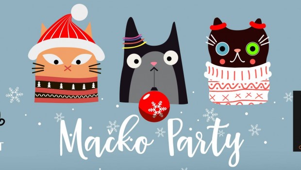 Mačko party 17. prosinca!