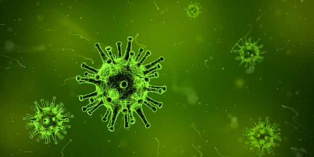 Počela je sezona gripe – zaštitite mačke