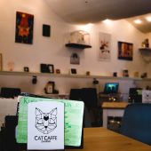 Zagreb Cat Caffe