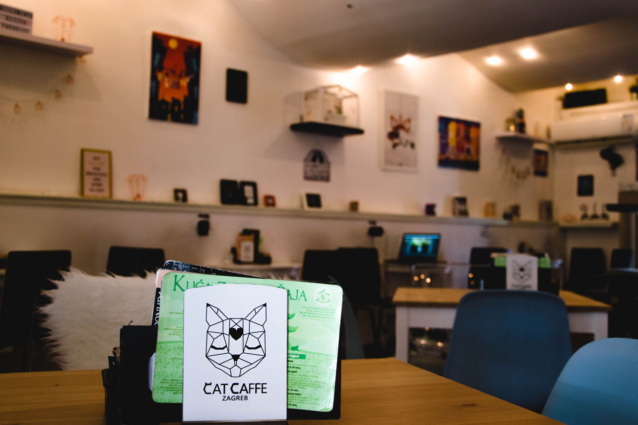 Cat caffe – mjesto za ispijanje omiljenog napitka u društvu mačaka