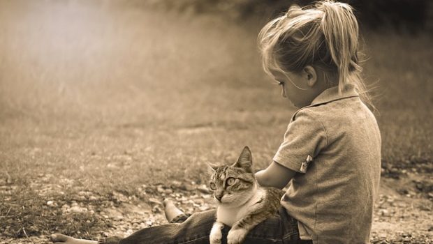 Kako naučiti djecu da se ponašaju odgovorno prema mačkama?