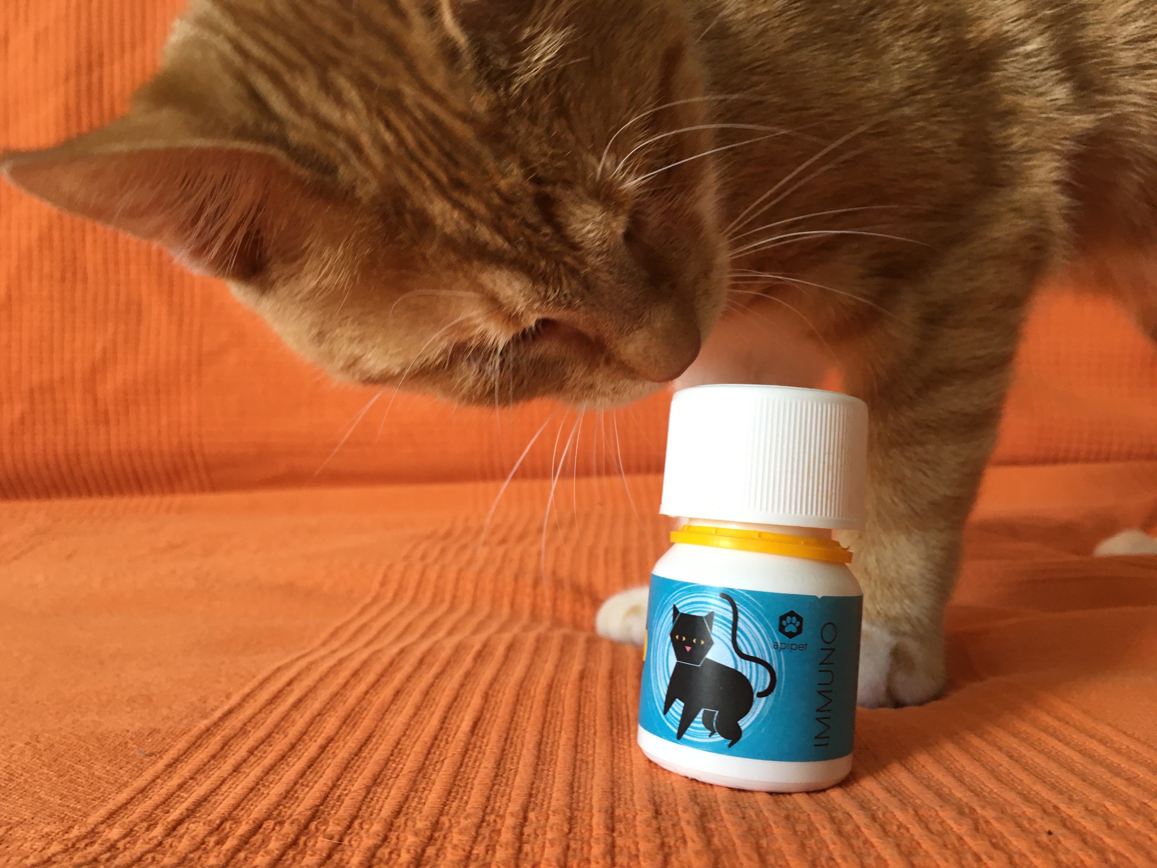 Apipet – Prvi propolis u svijetu prilagođen za mačke